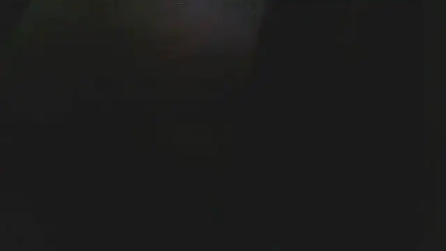 Preview of bobbybullit