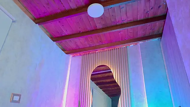 Preview of taurito___