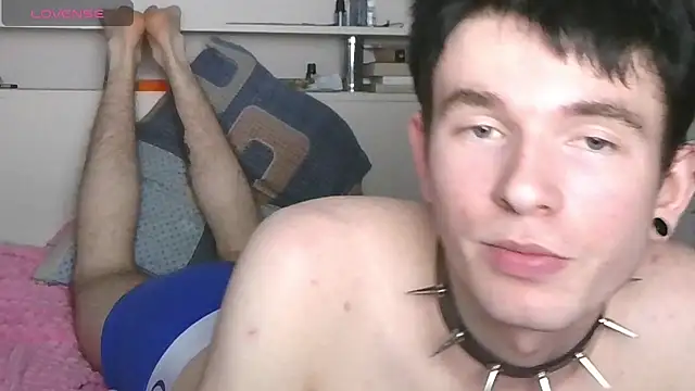 Ernest_ice webcam