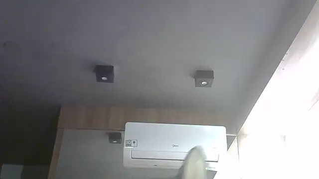 SkinnyKitten webcam