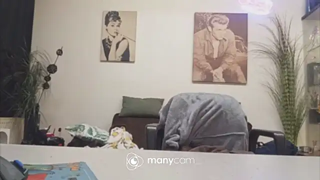 Preview of der_dino30