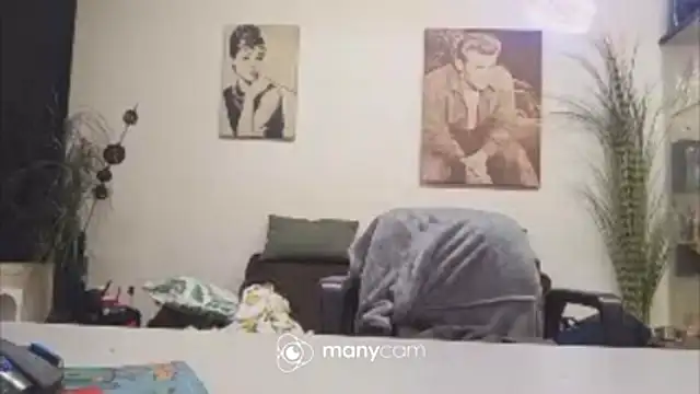 Preview of der_dino30