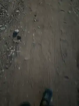 Black-mamba-madingo's live cam