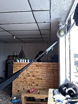 old_soul_and_young_spirit - Old_soul_and_young_spirit's free webcam - UK Sex Cams