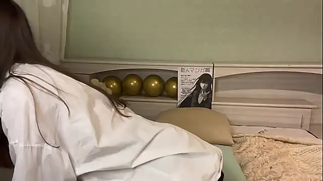 UpdatedRectus webcam