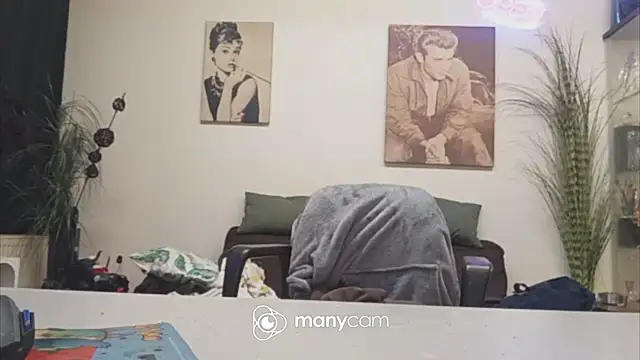 Preview of der_dino30