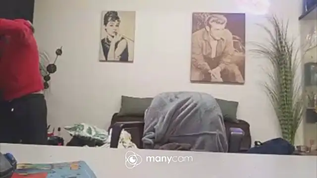 Preview of der_dino30