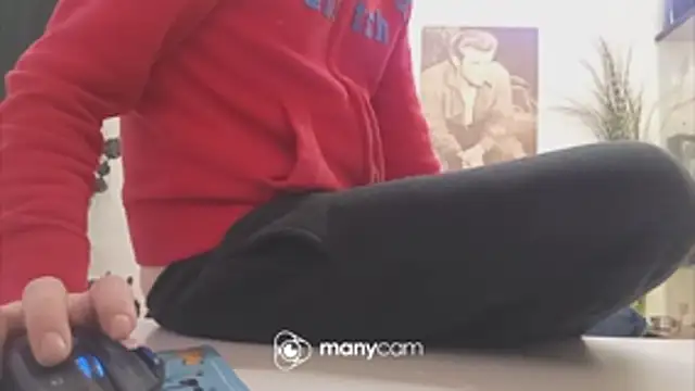 Preview of der_dino30