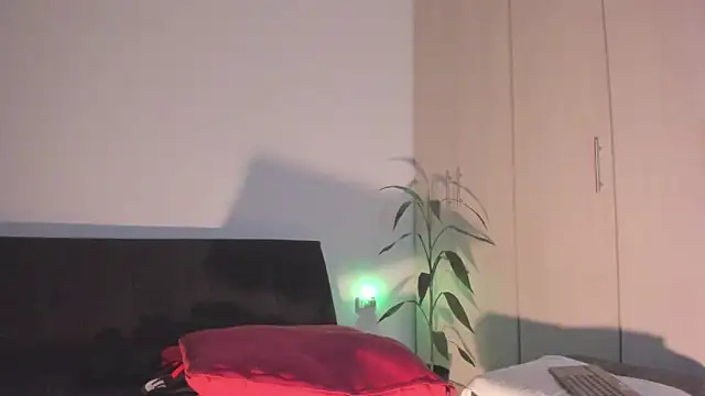 Erickpritz_xh webcam