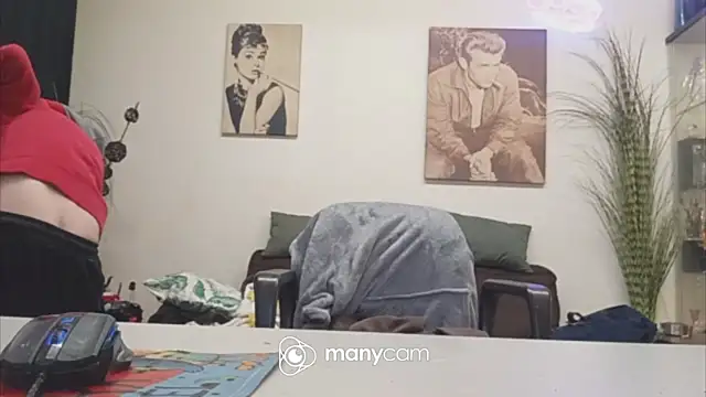 Preview of der_dino30