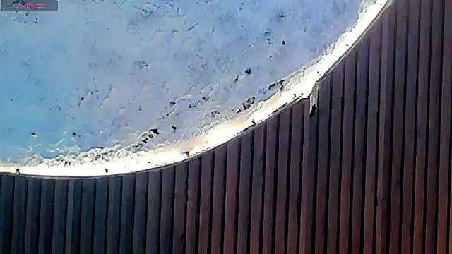 Agathaargent_ webcam