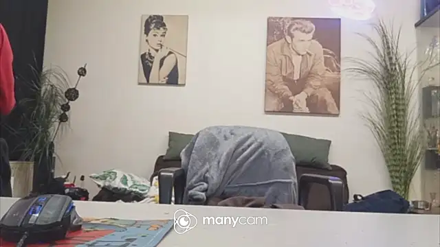 Preview of der_dino30