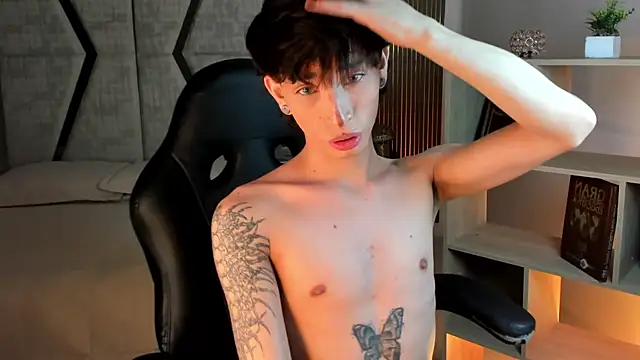 AndyWiilliams webcam