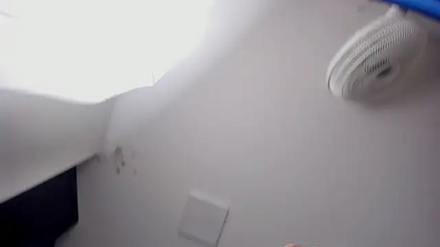 FaloonRoussel webcam