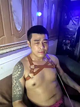 asianhif (M young) - 1500tk