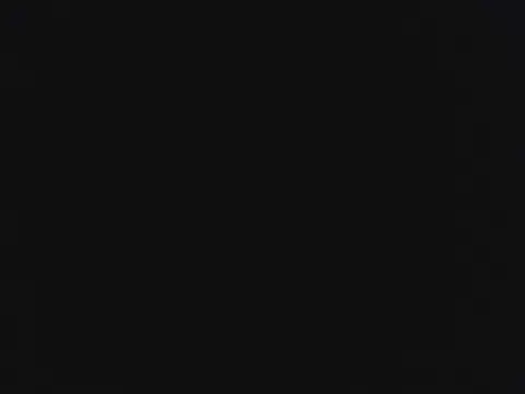 novilho18piroc webcam