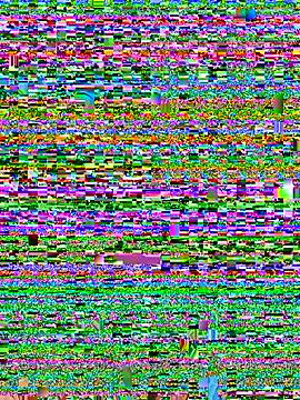 Cielo_Lunar11 webcam