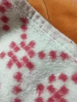 Preview of eagle2eagle2eagle