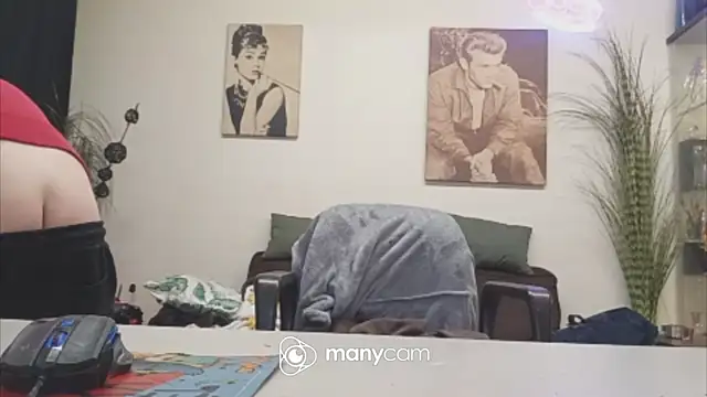 Preview of der_dino30