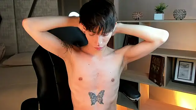 AndyWiilliams webcam