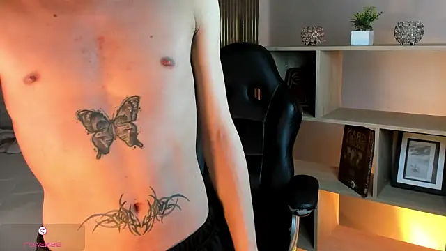 AndyWiilliams webcam