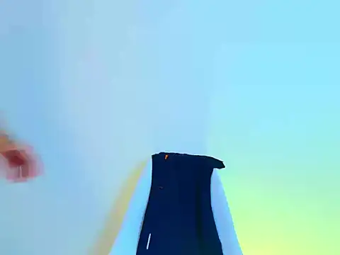 silvano_torres webcam