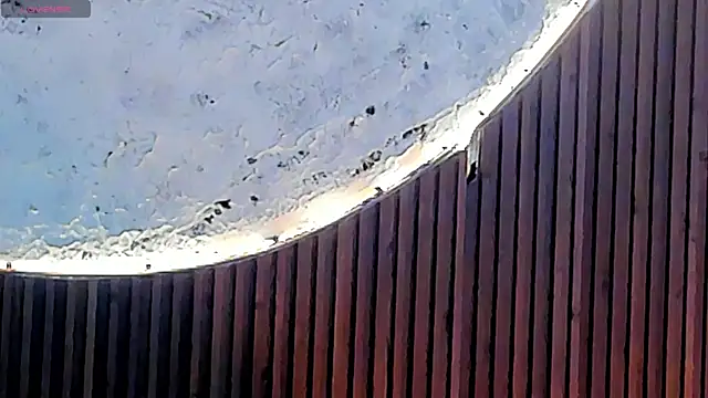 Agathaargent_ webcam