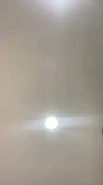 Selene_Wings22 webcam