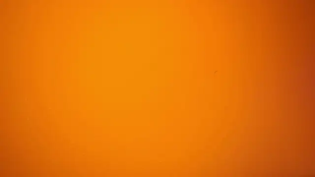 CataleyaSyrene - Live Cam