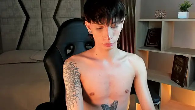 AndyWiilliams webcam