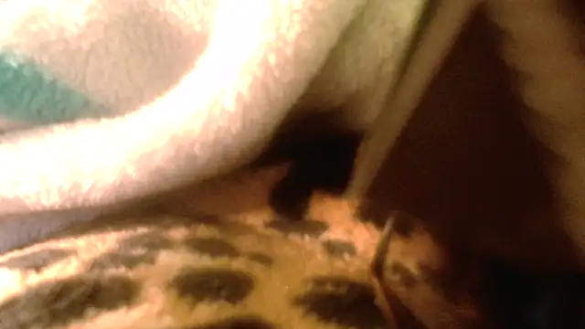 Preview of rockhead1971