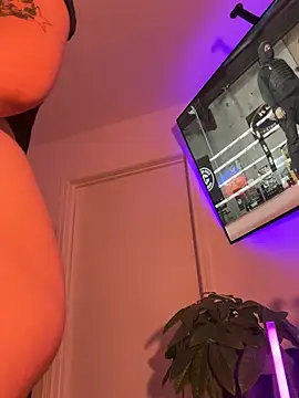 alldogsgotoheaven webcam