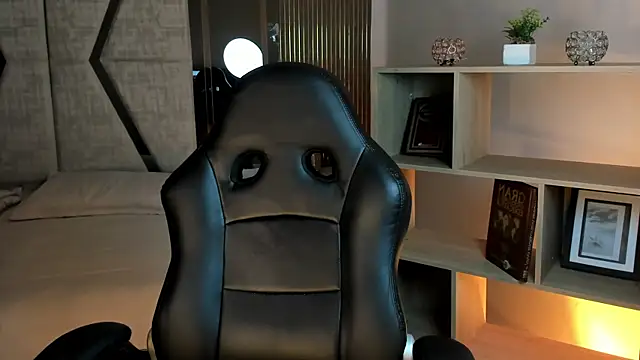 AndyWiilliams webcam