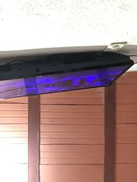 Rachellcooperrr webcam