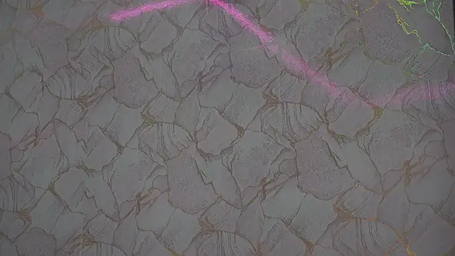 Fernanda_thail_ webcam