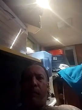 AceticPinscher webcam