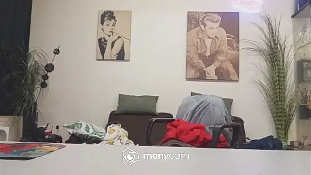 Preview of der_dino30