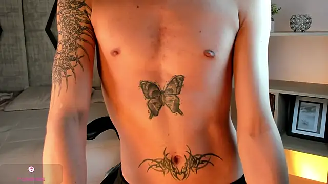 AndyWiilliams webcam