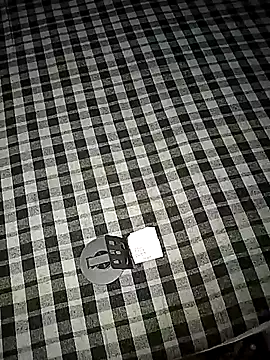 Rajendri-couple_sho98 webcam