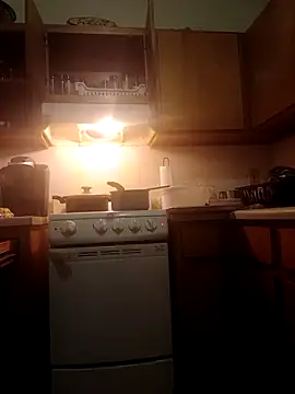 ReallyReallyReal webcam