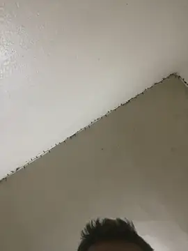 chophat live sex cam