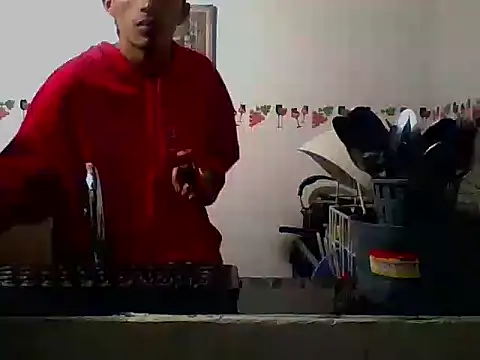 indiana_party webcam