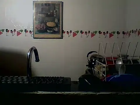 Preview of indiana_party