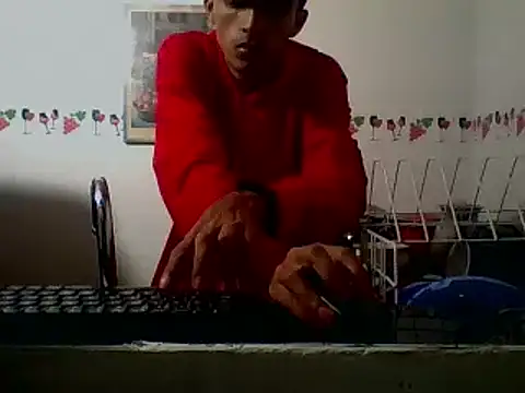 indiana_party webcam