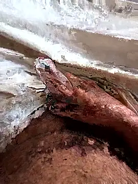 kingsofdike_8826 (Ask my age) - Show cum