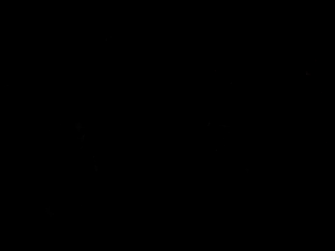 BroodedUlster webcam