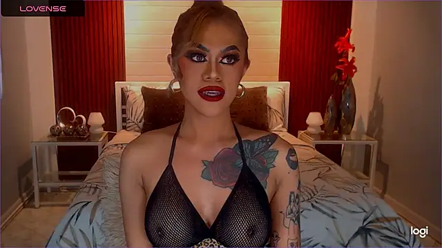 StellaStrong30 webcam