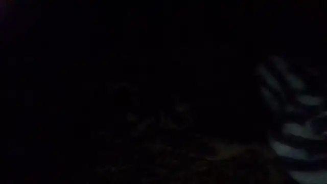 Princess_Tamara webcam