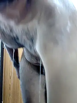 rohitgarg200 - RohitGarg200's free webcam - UK Sex Cams