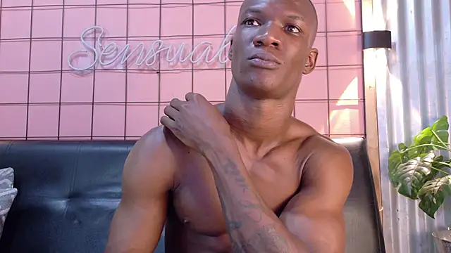 martin_killer webcam